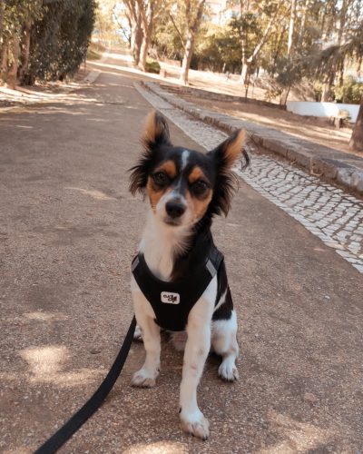 KOLORO_1639179568014